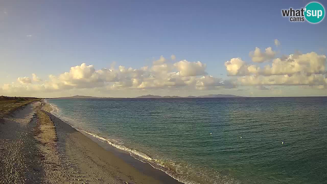 Beach Le Saline webcam live Stintino – Sardinia