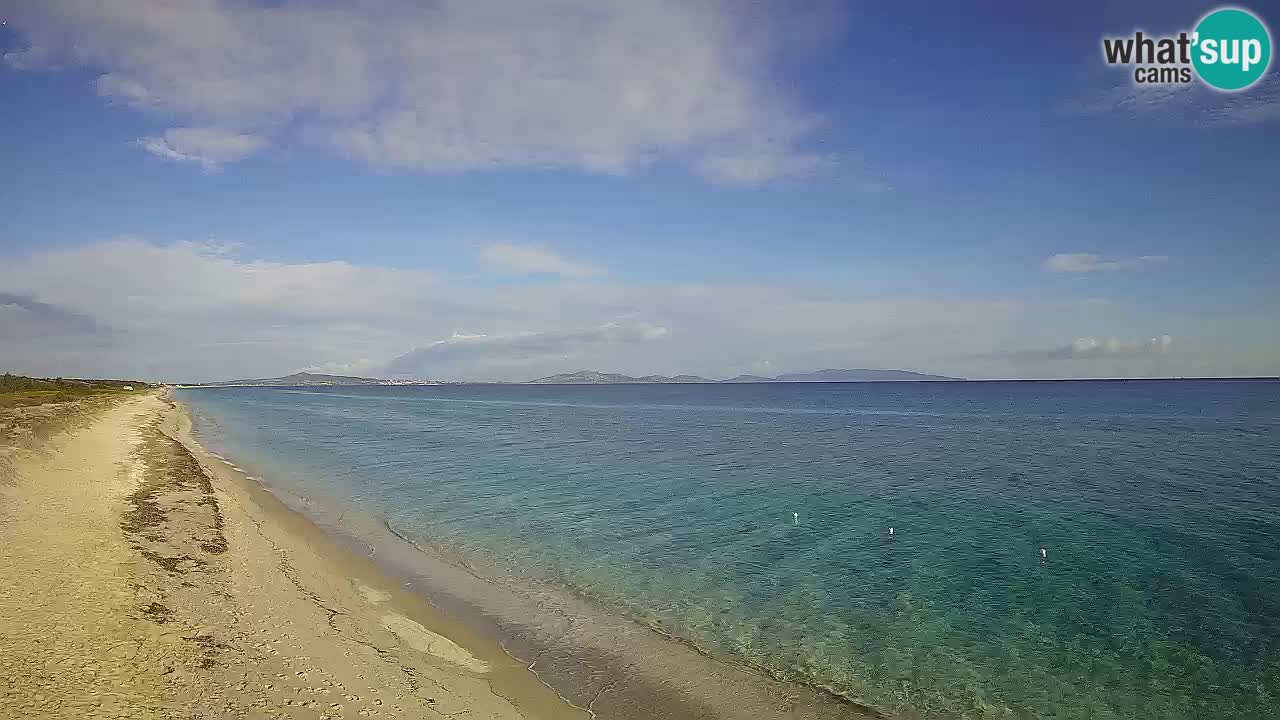 Strand Le Saline webcam Stintino – Sardinien