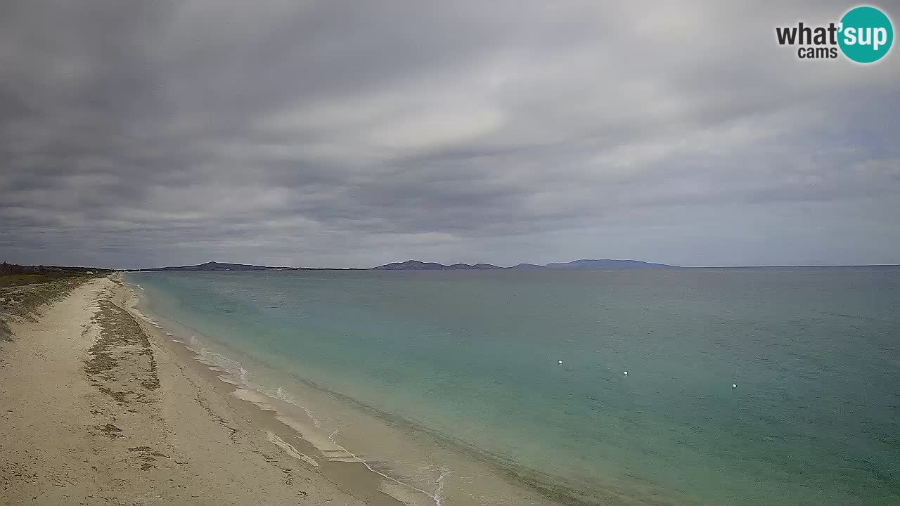 Playa Le Saline camera en vivo Stintino – Cerdeña