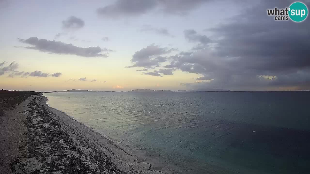 Spiaggia Le Saline webcam Stintino – Sardegna