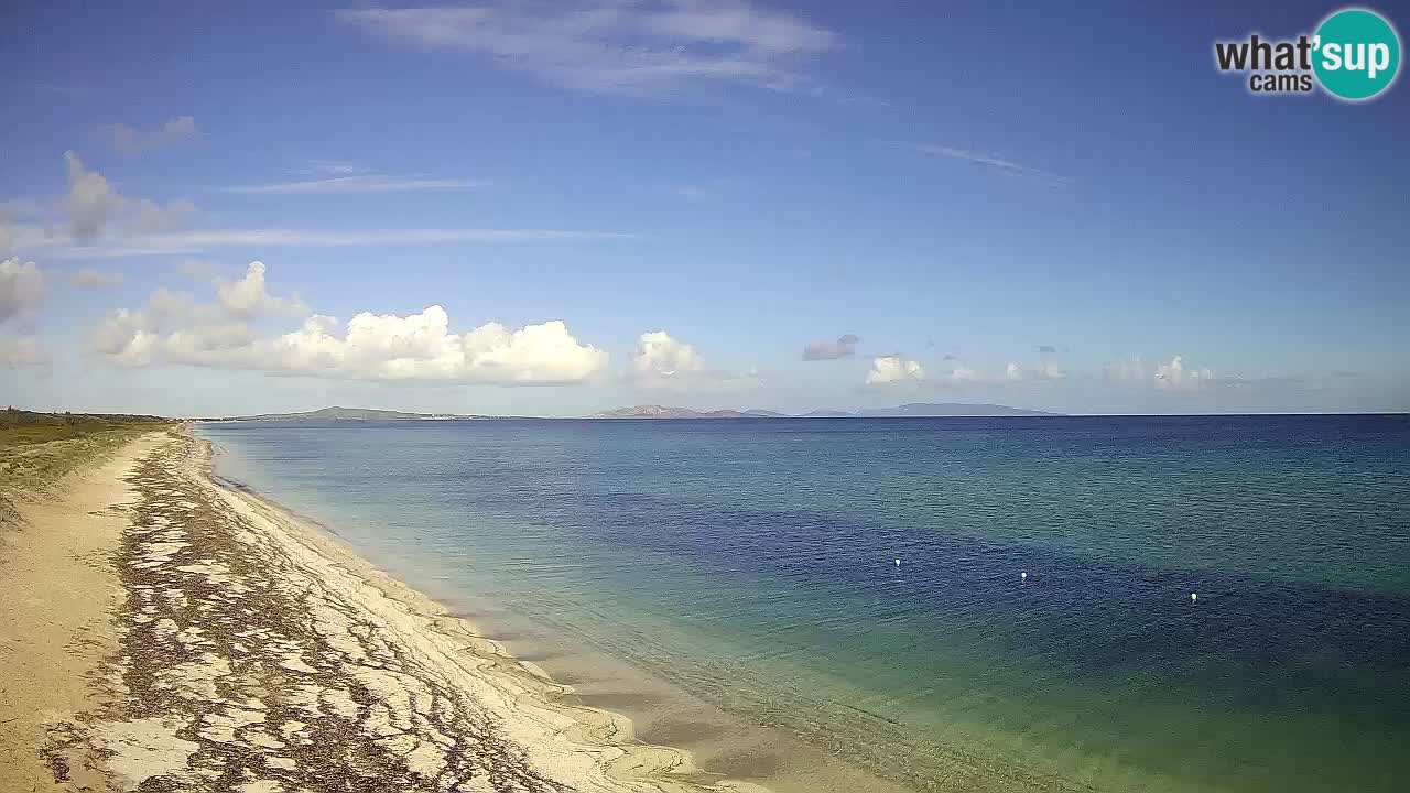 Playa Le Saline camera en vivo Stintino – Cerdeña