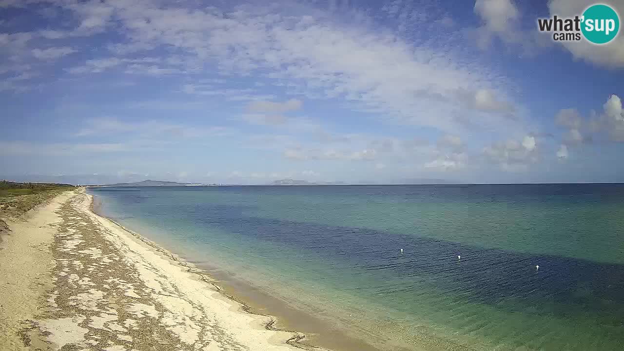 Strand Le Saline webcam Stintino – Sardinien