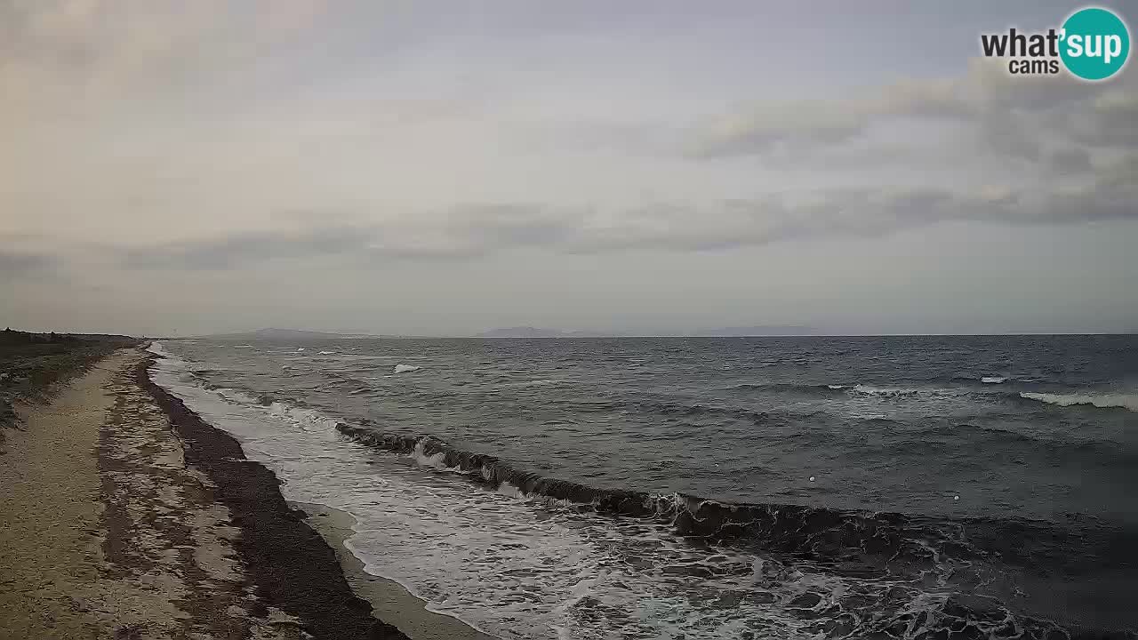 Spiaggia Le Saline webcam Stintino – Sardegna