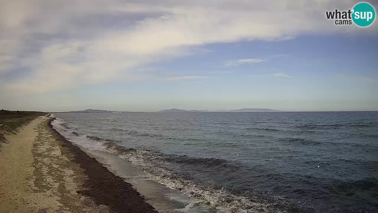 Beach Le Saline webcam live Stintino – Sardinia