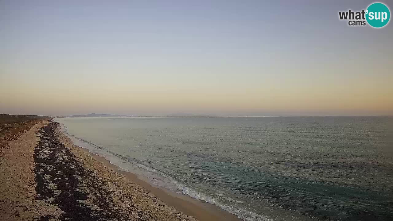 Strand Le Saline webcam Stintino – Sardinien