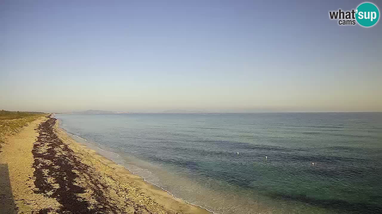 Strand Le Saline webcam Stintino – Sardinien