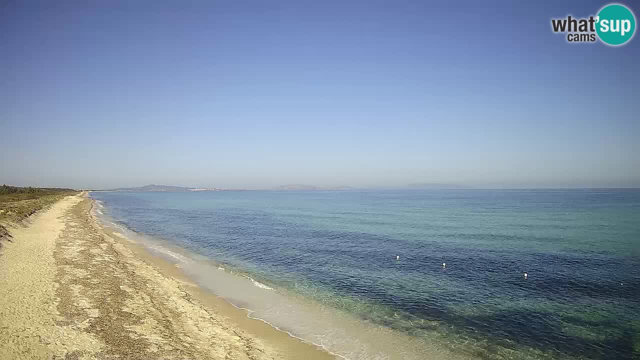 Plaža Le Saline spletna kamera Stintino – Sardinija