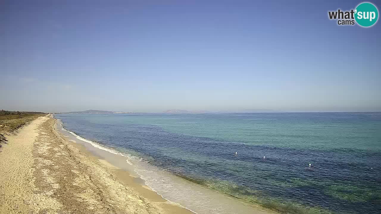 Plage Le Saline Live cam Stintino – Sardaigne