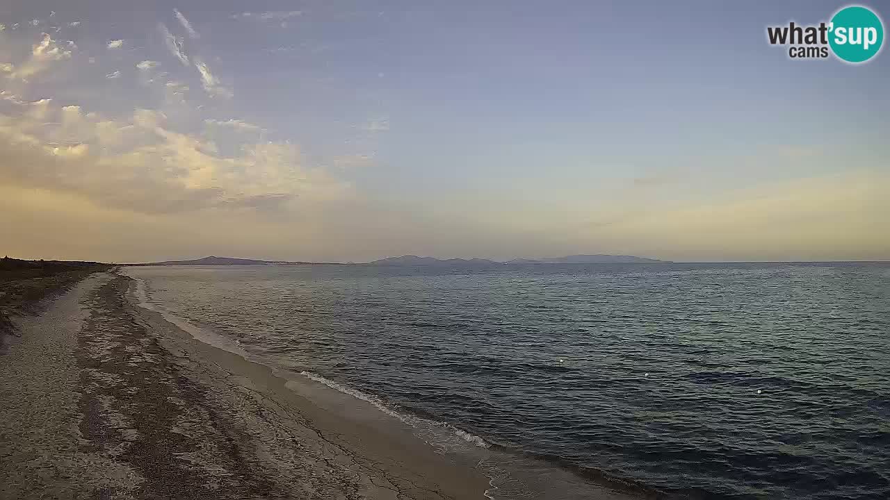 Playa Le Saline camera en vivo Stintino – Cerdeña