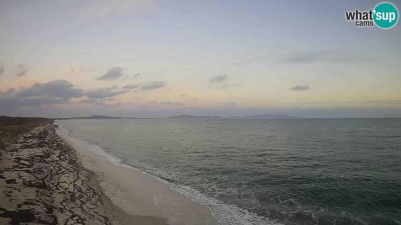 Plaža Le Saline web kamera Stintino – Sardinija