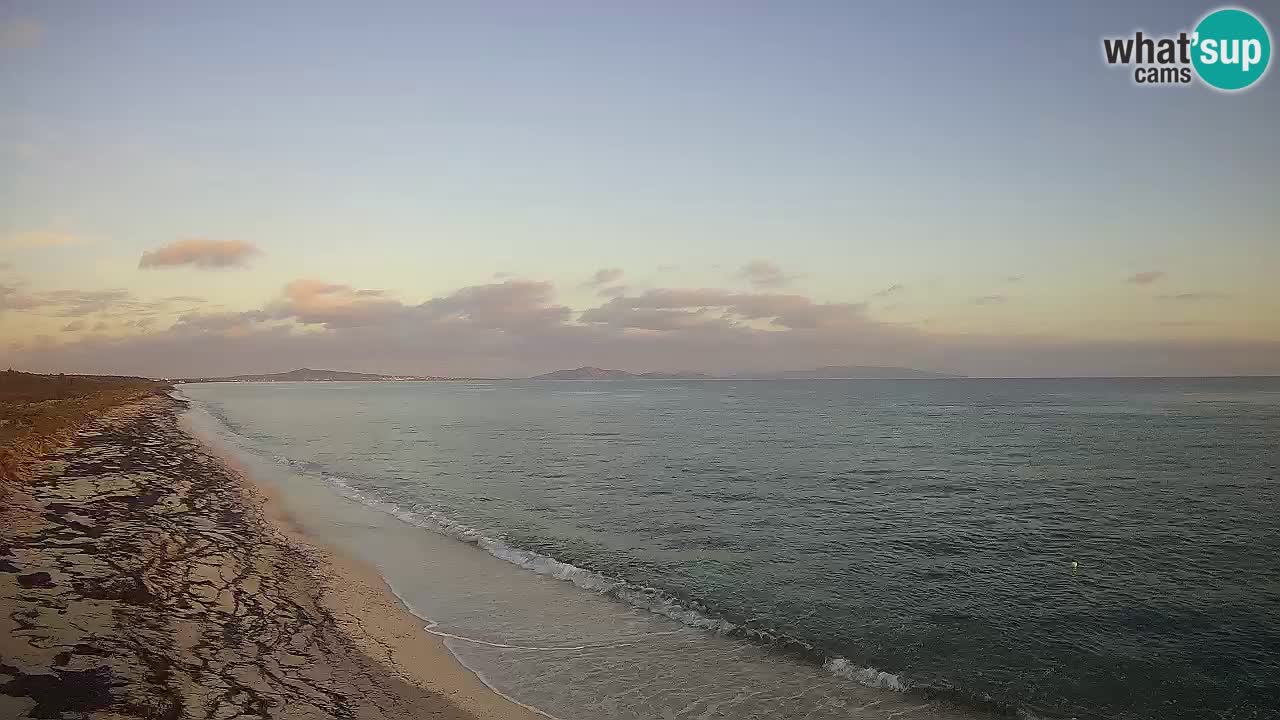 Spiaggia Le Saline webcam Stintino – Sardegna