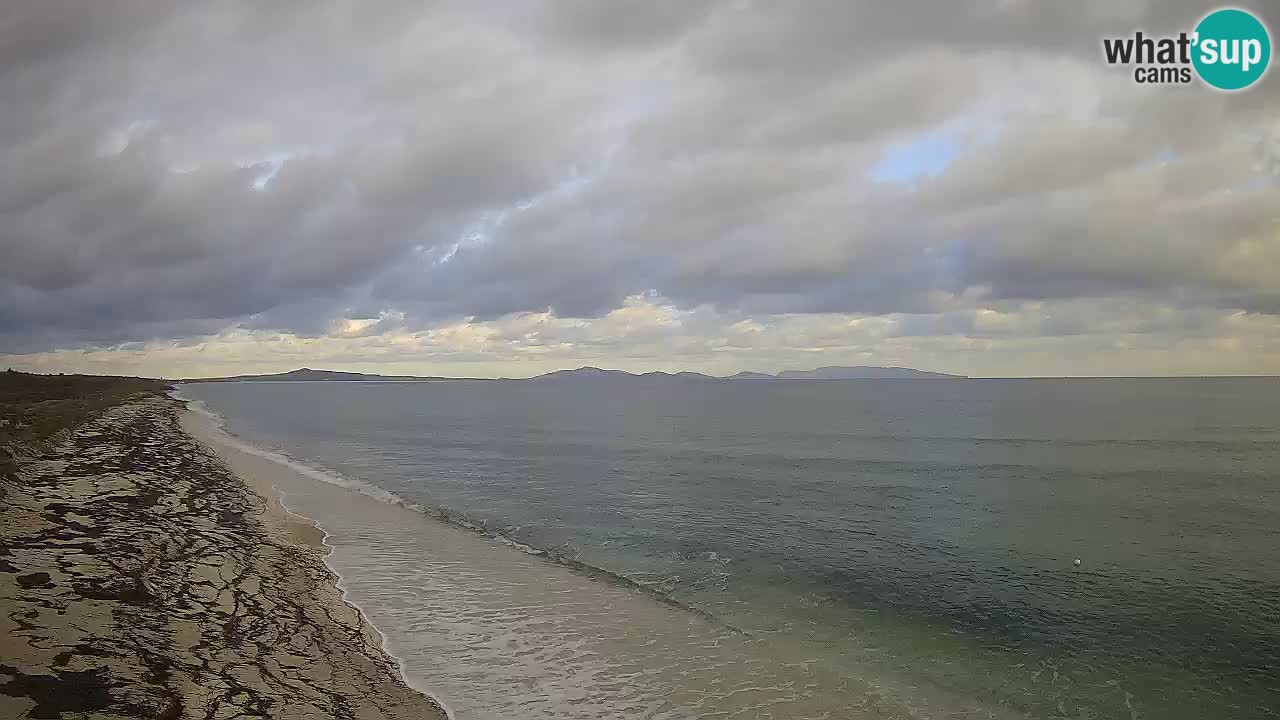 Playa Le Saline camera en vivo Stintino – Cerdeña