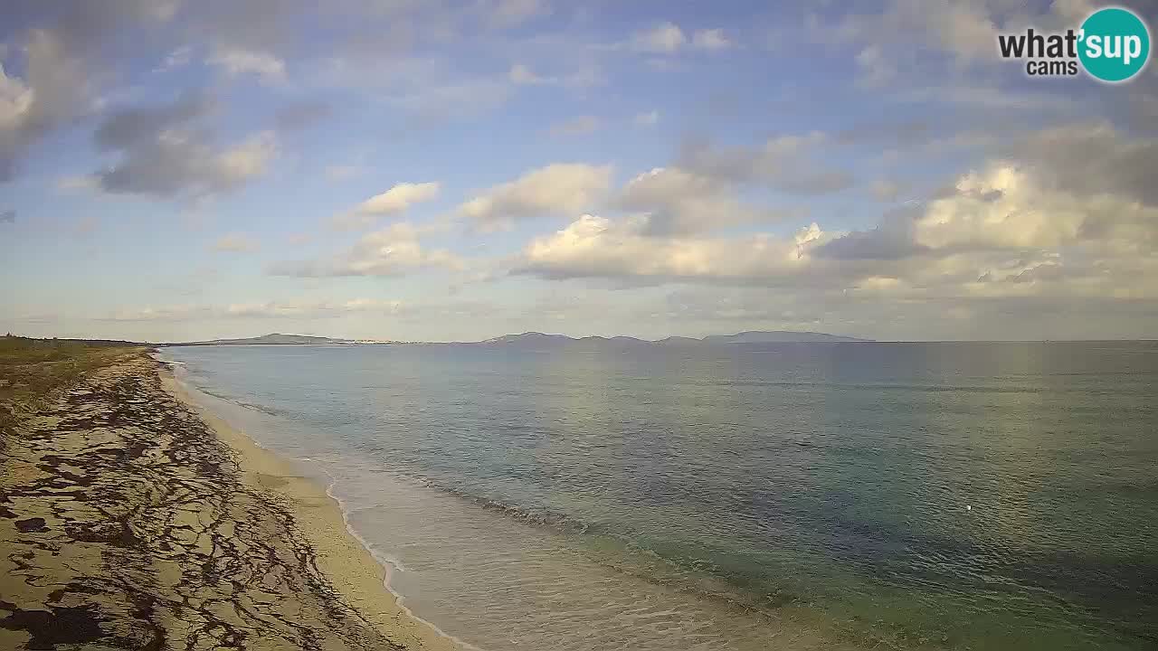 Playa Le Saline camera en vivo Stintino – Cerdeña