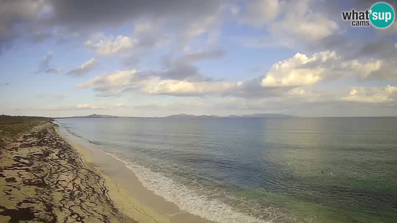 Plaža Le Saline web kamera Stintino – Sardinija