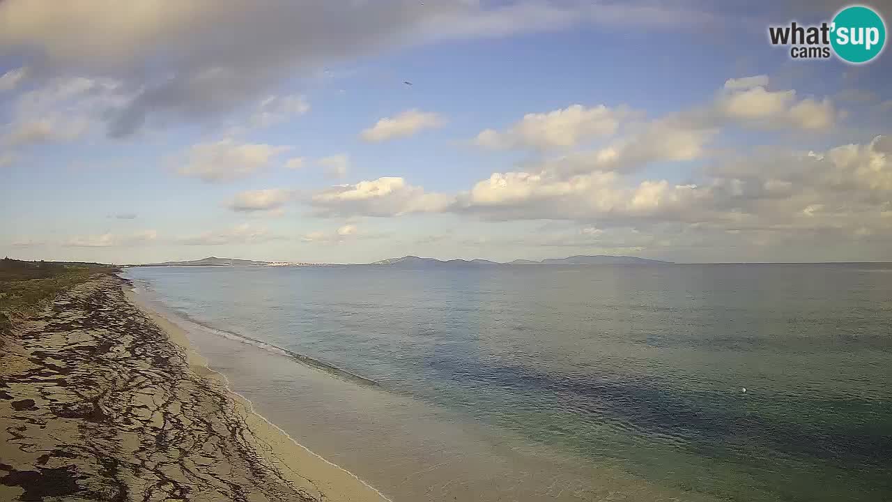 Spiaggia Le Saline webcam Stintino – Sardegna