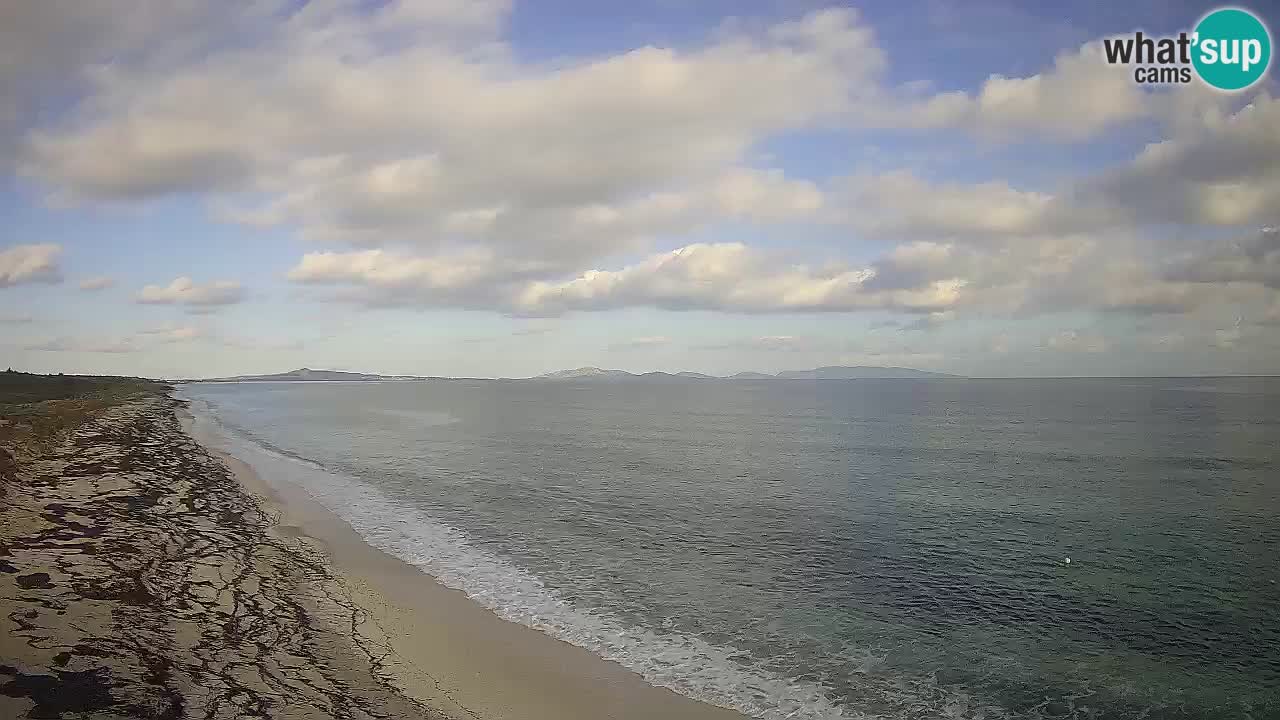 Spiaggia Le Saline webcam Stintino – Sardegna