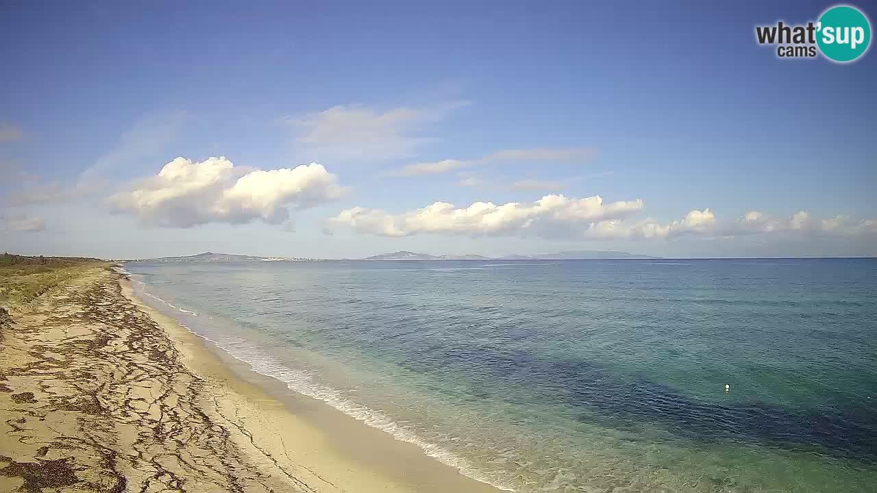 Playa Le Saline camera en vivo Stintino – Cerdeña