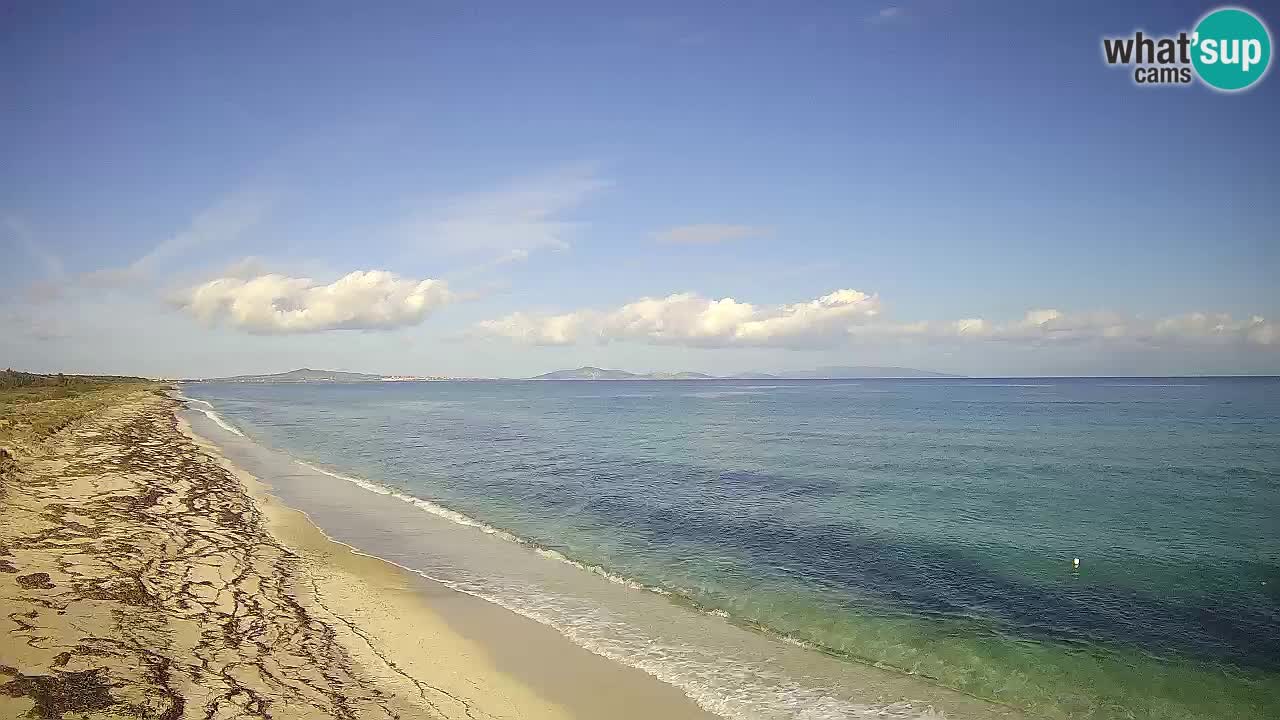 Spiaggia Le Saline webcam Stintino – Sardegna