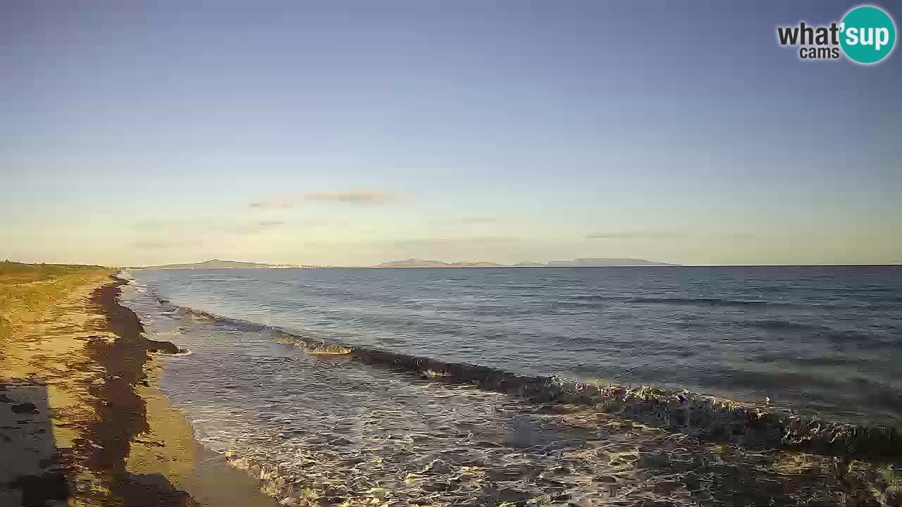 Plaža Le Saline spletna kamera Stintino – Sardinija