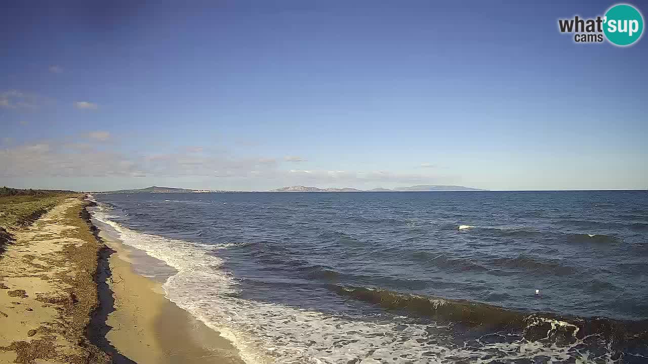 Spiaggia Le Saline webcam Stintino – Sardegna