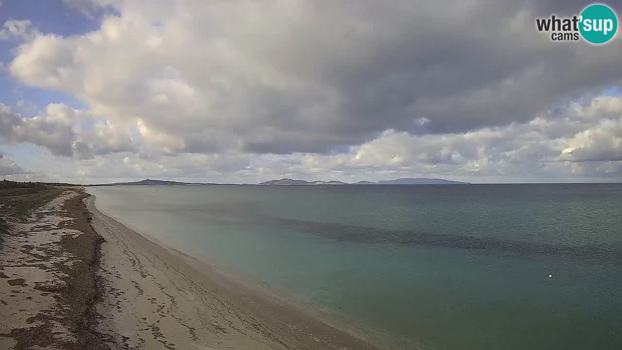 Plaža Le Saline spletna kamera Stintino – Sardinija