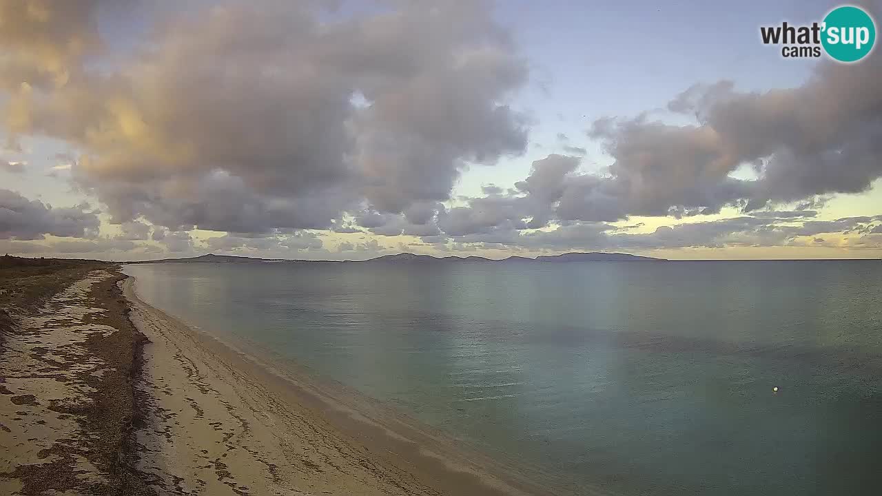 Beach Le Saline webcam live Stintino – Sardinia