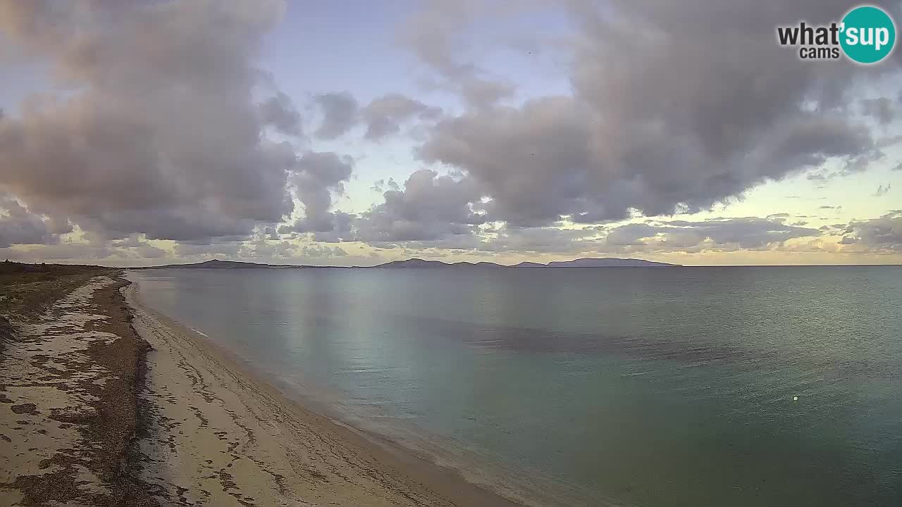 Beach Le Saline webcam live Stintino – Sardinia