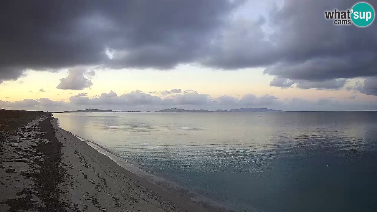 Plaža Le Saline spletna kamera Stintino – Sardinija