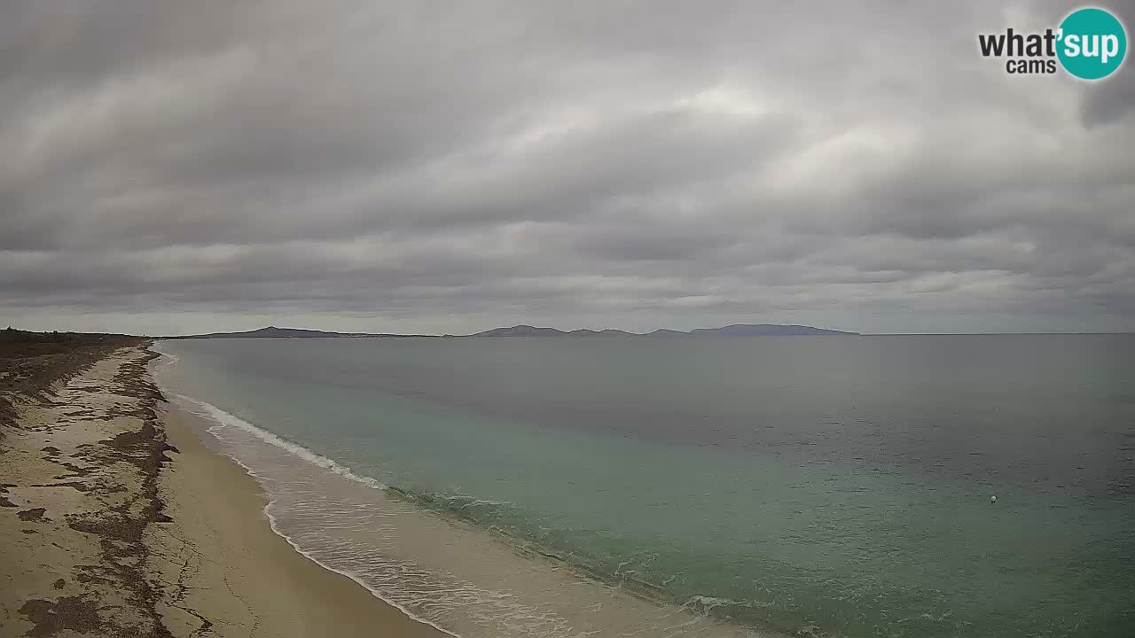 Playa Le Saline camera en vivo Stintino – Cerdeña