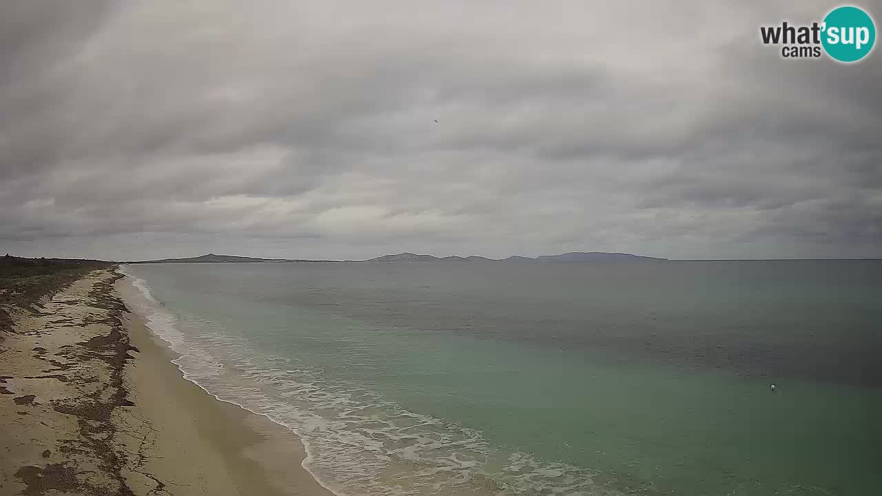 Plaža Le Saline web kamera Stintino – Sardinija