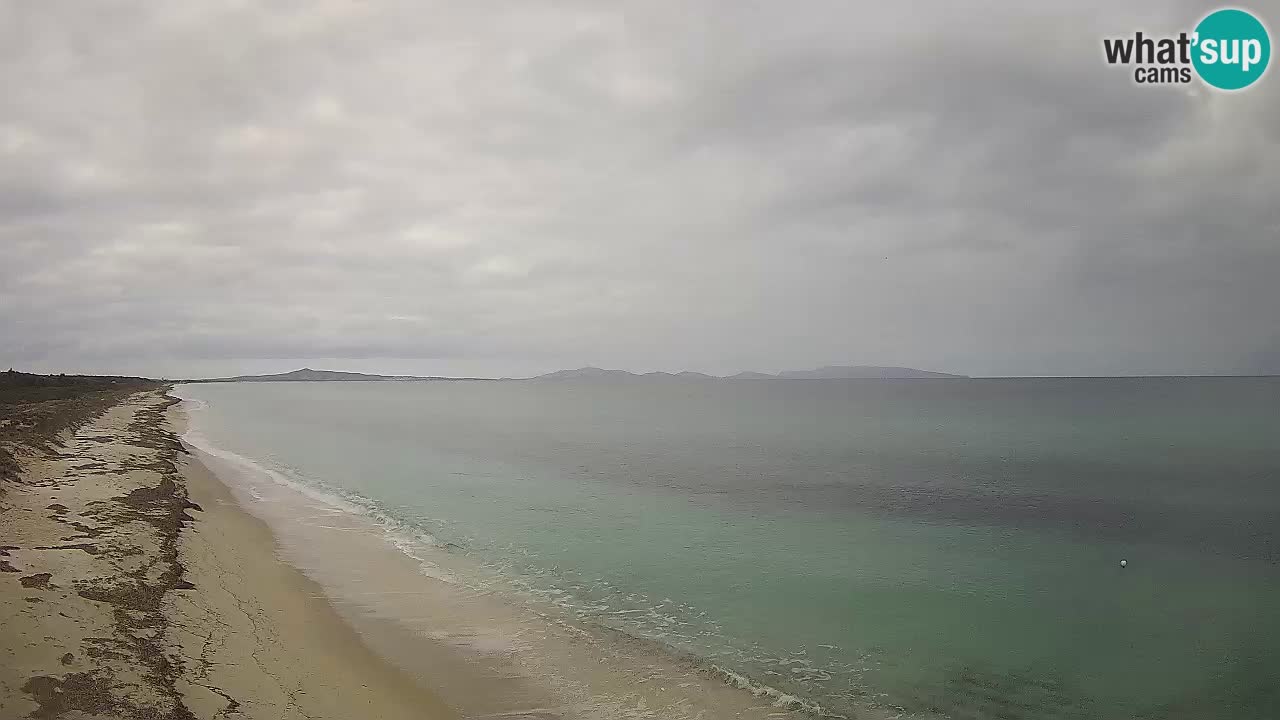 Plaža Le Saline web kamera Stintino – Sardinija