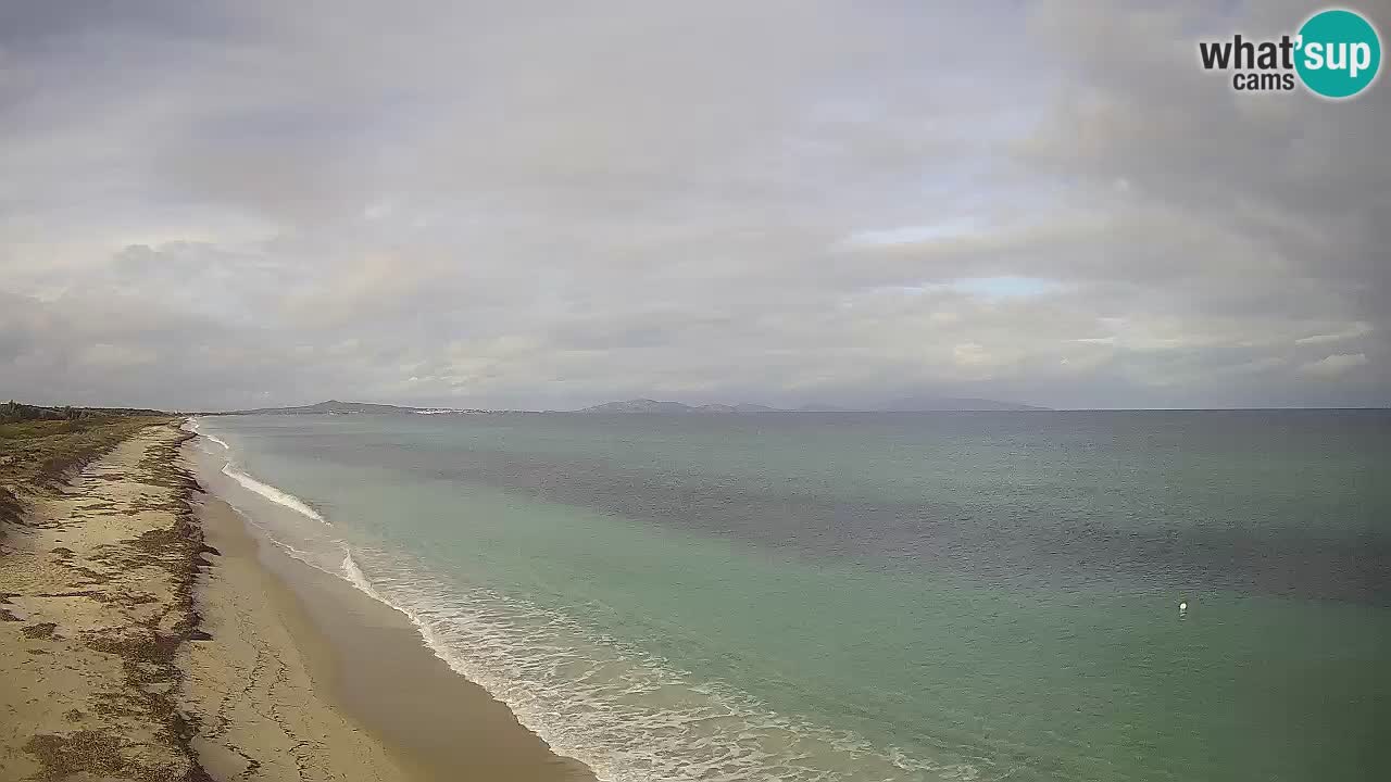 Plaža Le Saline web kamera Stintino – Sardinija