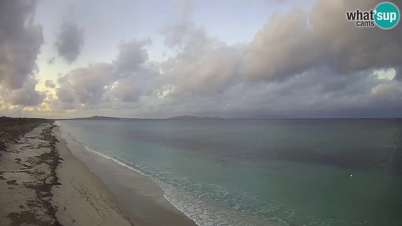 Plaža Le Saline spletna kamera Stintino – Sardinija