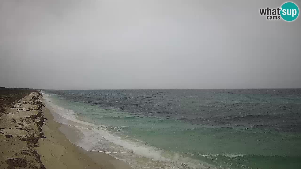 Plaža Le Saline spletna kamera Stintino – Sardinija