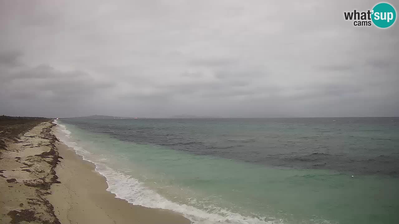 Spiaggia Le Saline webcam Stintino – Sardegna