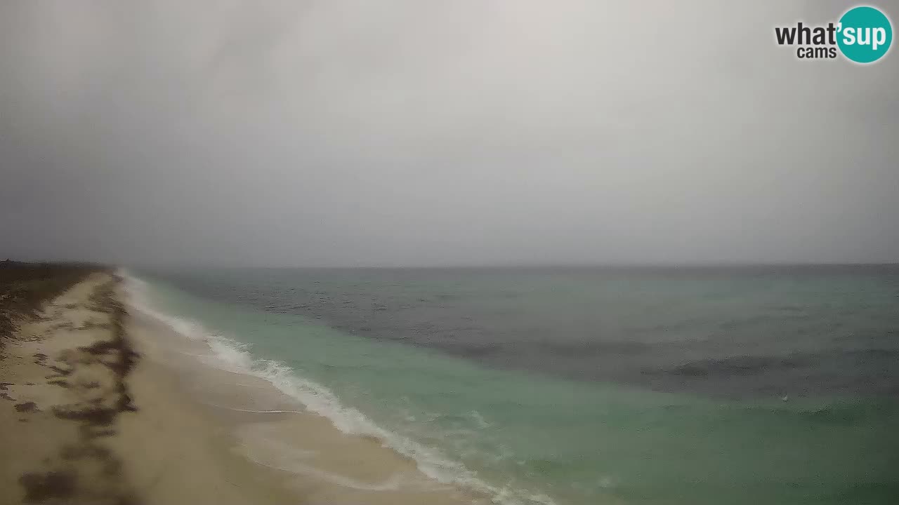 Plaža Le Saline spletna kamera Stintino – Sardinija