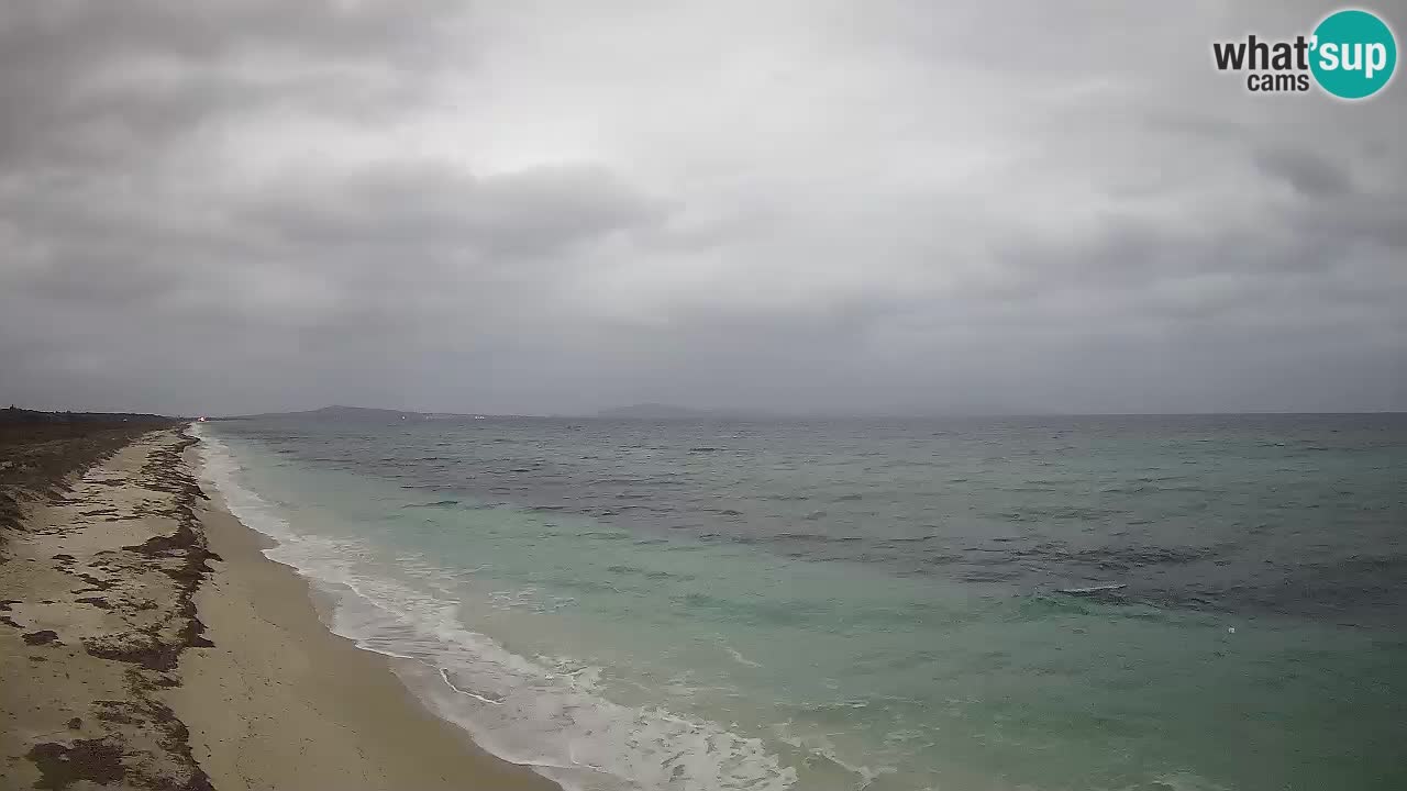 Spiaggia Le Saline webcam Stintino – Sardegna