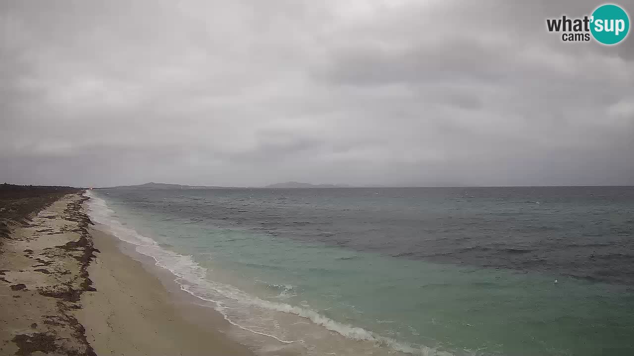 Plaža Le Saline web kamera Stintino – Sardinija