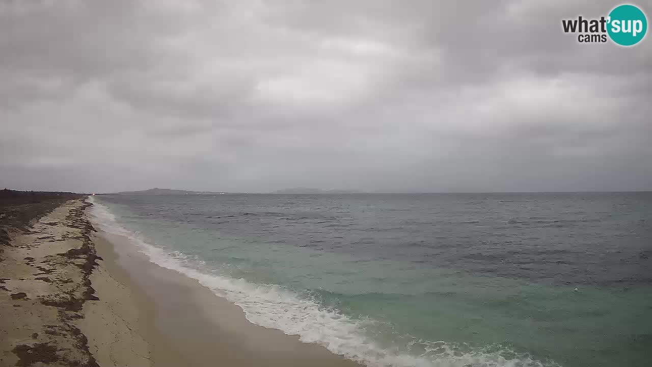 Plaža Le Saline web kamera Stintino – Sardinija