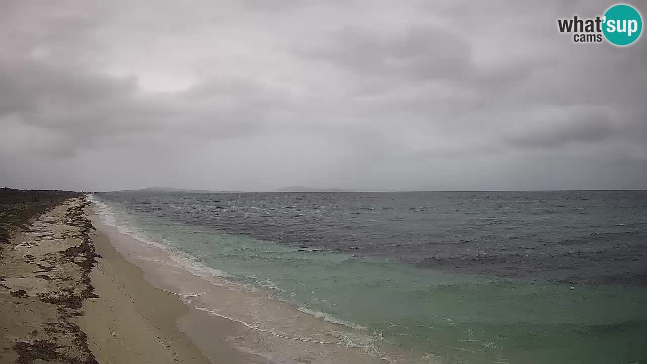 Playa Le Saline camera en vivo Stintino – Cerdeña