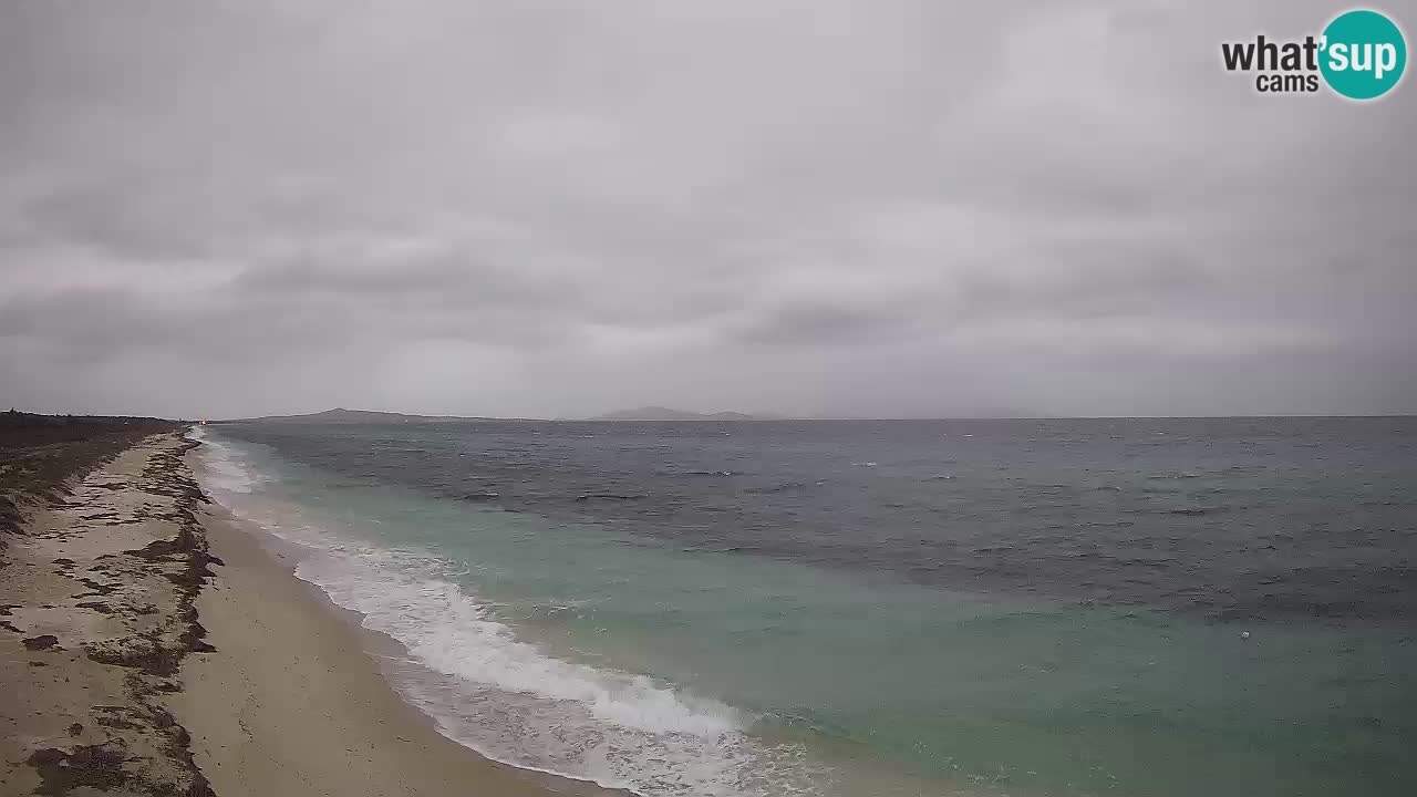 Playa Le Saline camera en vivo Stintino – Cerdeña