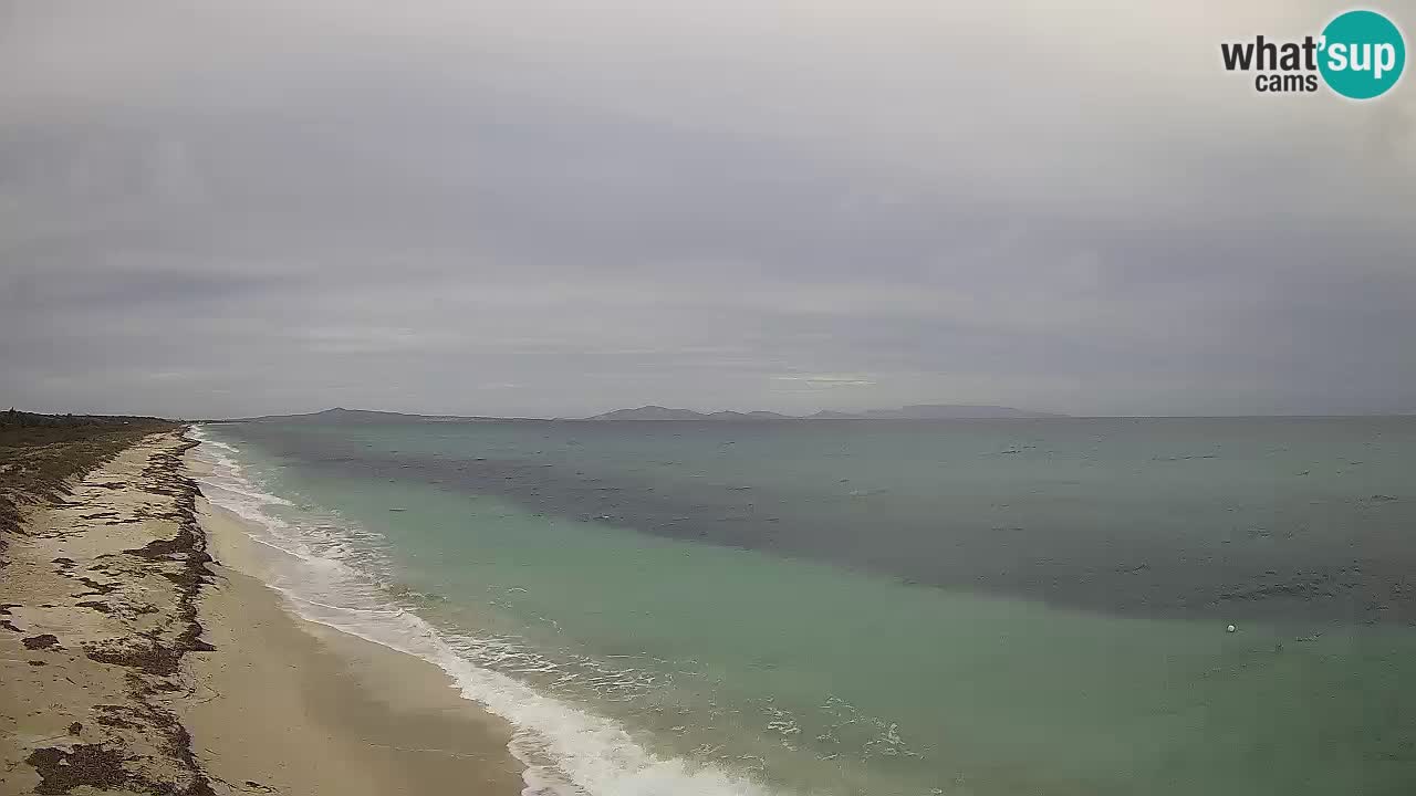 Plaža Le Saline web kamera Stintino – Sardinija