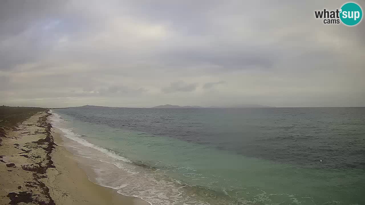 Plaža Le Saline web kamera Stintino – Sardinija