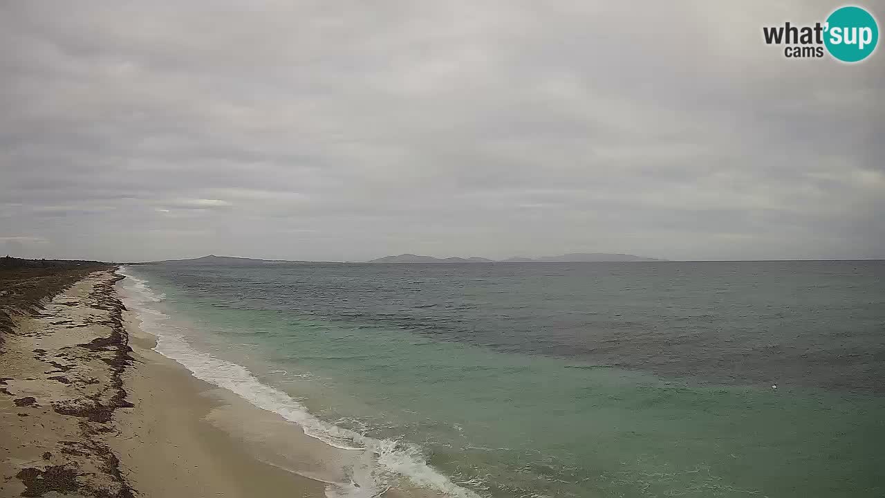 Playa Le Saline camera en vivo Stintino – Cerdeña