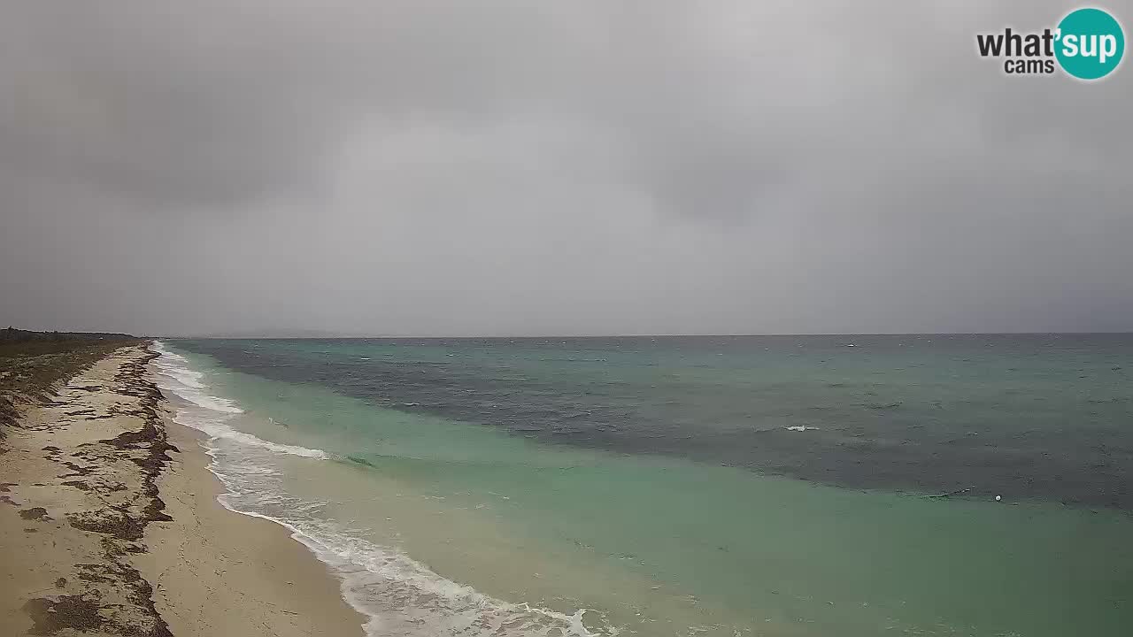 Spiaggia Le Saline webcam Stintino – Sardegna