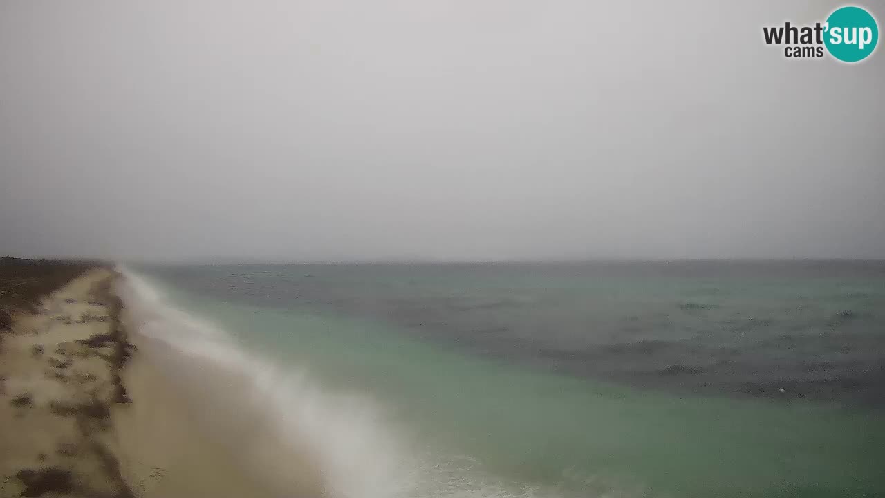 Playa Le Saline camera en vivo Stintino – Cerdeña