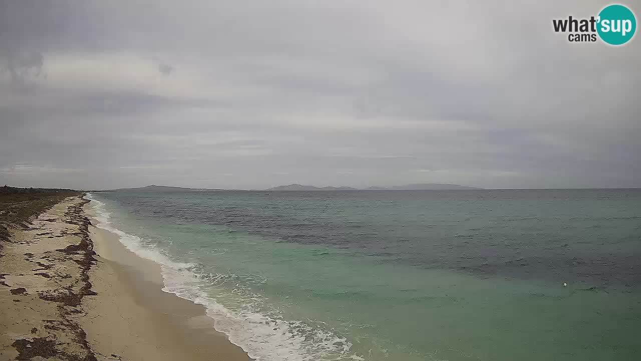 Plaža Le Saline web kamera Stintino – Sardinija