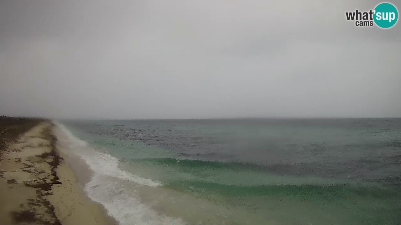 Plaža Le Saline spletna kamera Stintino – Sardinija