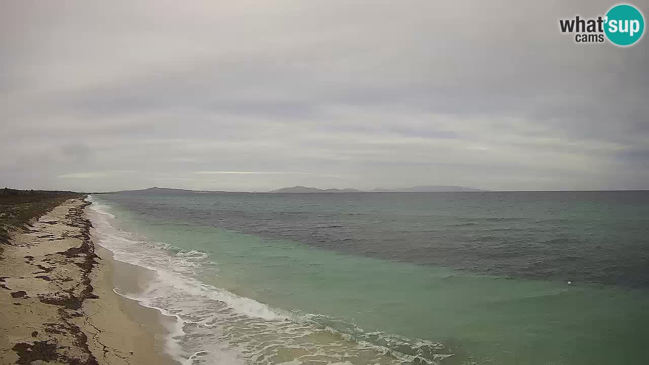 Spiaggia Le Saline webcam Stintino – Sardegna