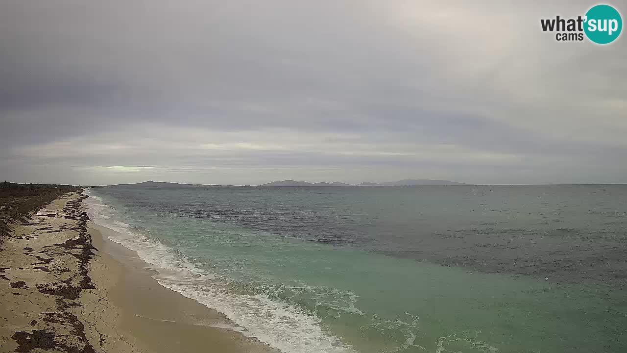 Plaža Le Saline spletna kamera Stintino – Sardinija